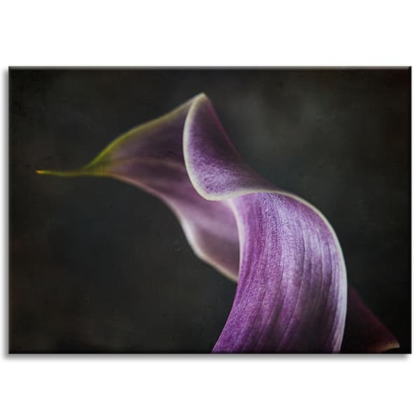 Lærredstryk Blomst lilla kronblad 70x50 cm