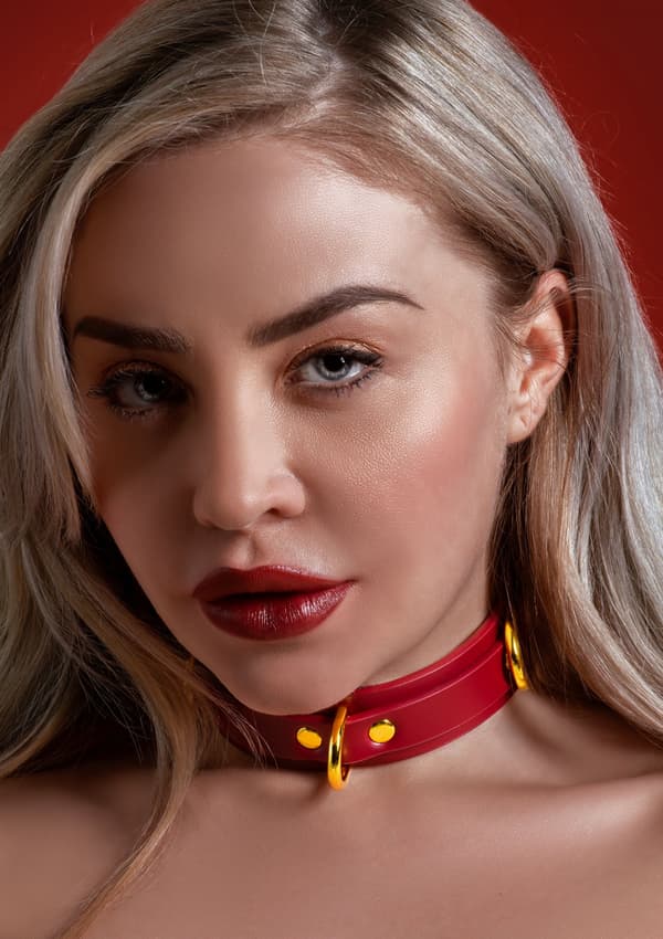 D-ringhalsbånd Deluxe Rød