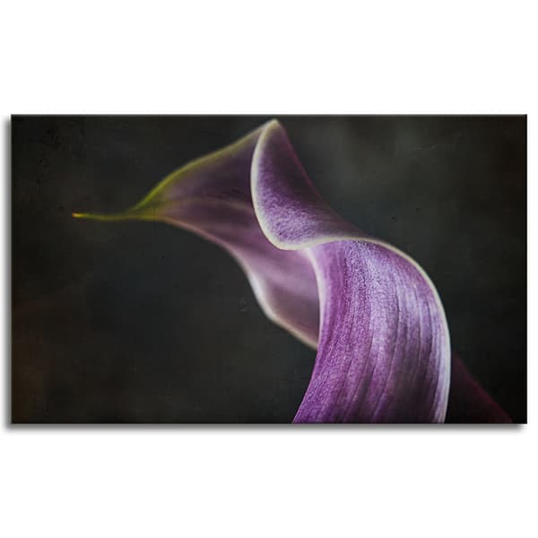 Lærredstryk Blomst lilla kronblad 100x60 cm