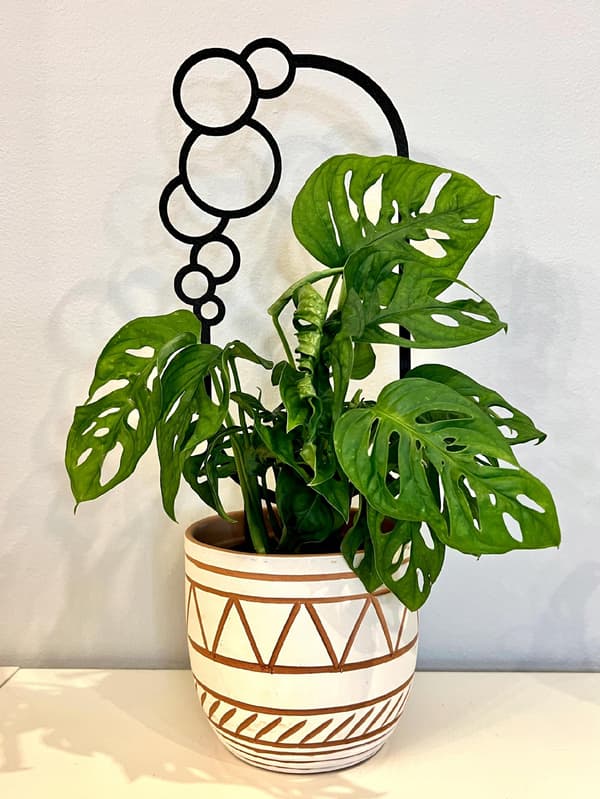 Stöd för klätterväxter Stöd för klätterblommor Pergolastege 38 cm
