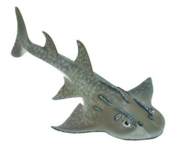 Bowmouth Guitarfish