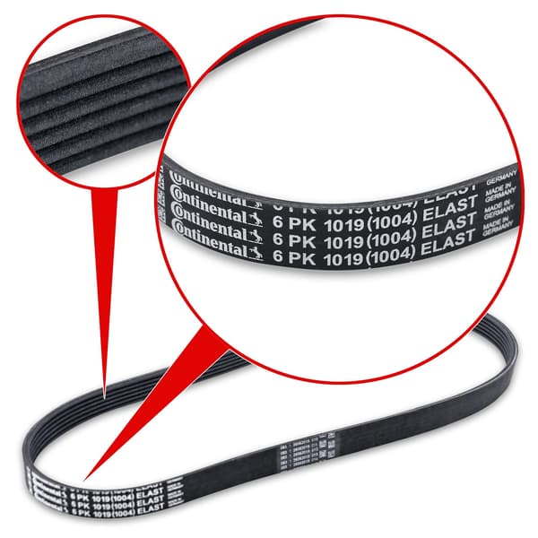 CONTITECH 6 PK 1019 ELAST flerribbat rem