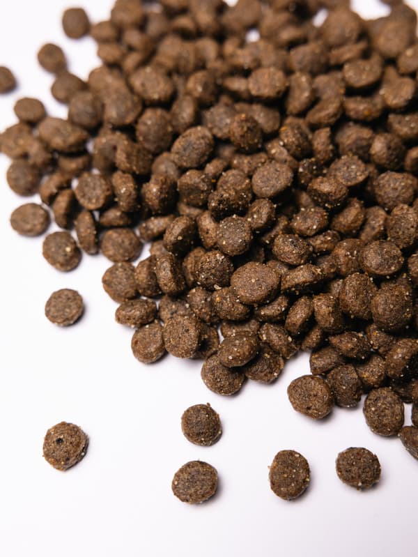 Smagfuldt tørfoder til hunde, voksne lam, små racer, 1 kg