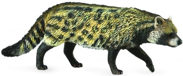 Afrikansk civetkat