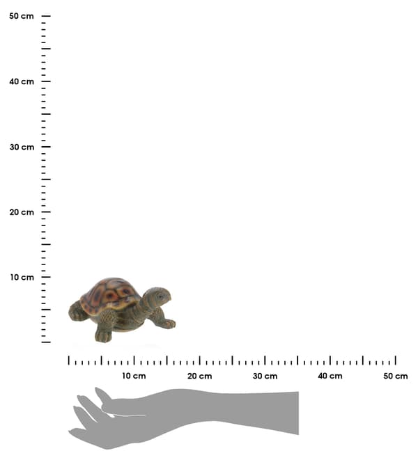 Trädgårdsfigur sköldpadda Set om 2