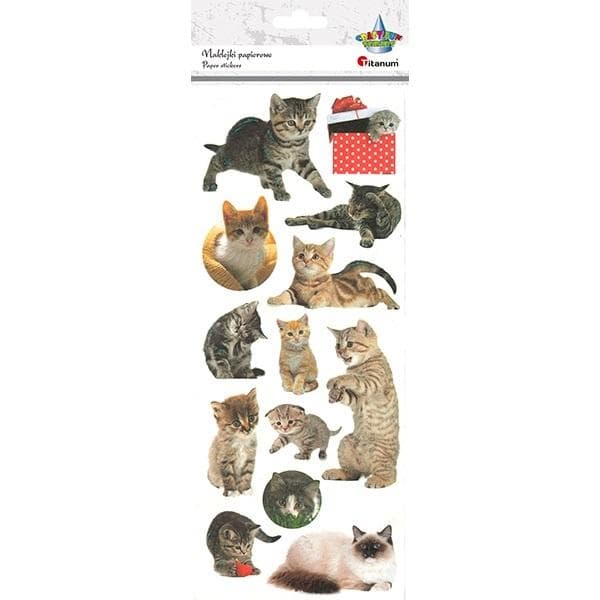 Paperitarrat kissat