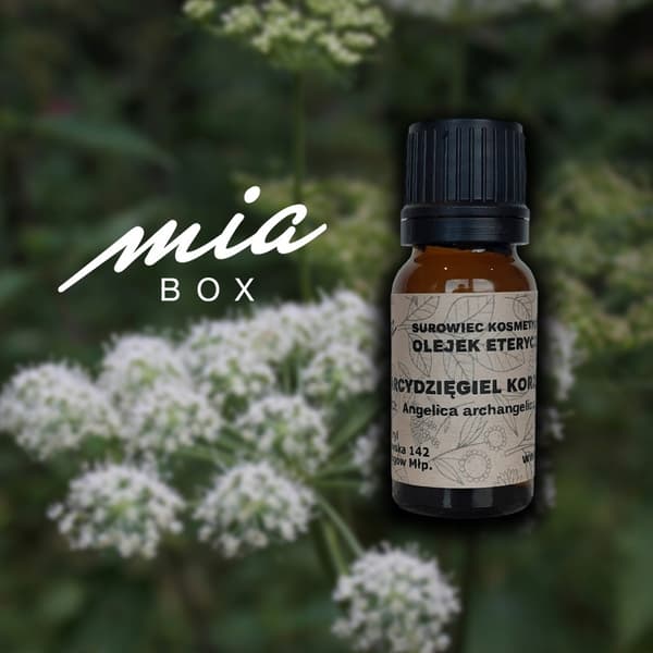 Angelicarot eterisk olja 20%