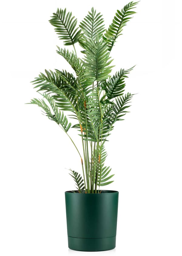 Azalea avocadogryde med underkop 35 cm