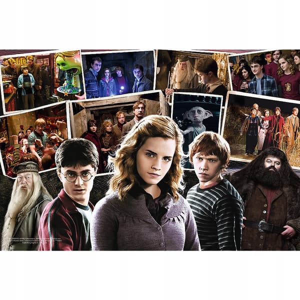 Warner Harry Potter og vennerne / Harry Potter og halvblodsprins DVD 160 minutter
