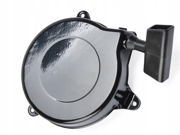 BRIGGS CLASSIC SPRINT STARTER