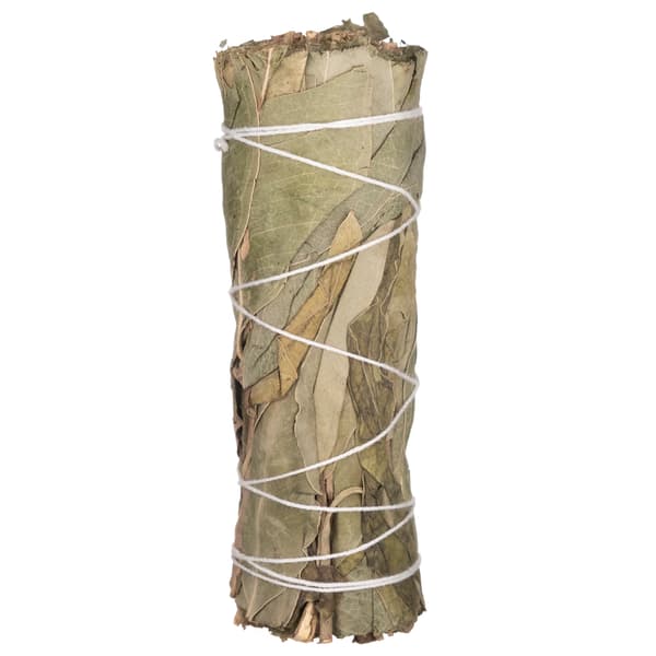 Naturlig rökelse - eukalyptus