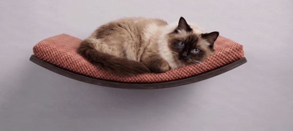 Træhylde til katte Arc 60cm Mørkepink