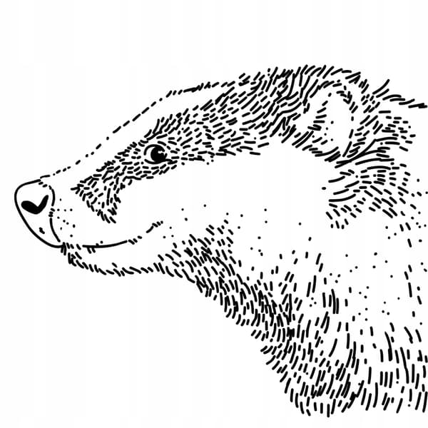 Craftbe Kaffebönor Chic Badger 250g