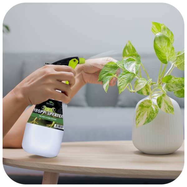 Terrario Troppi sprøjte 500ml - håndsprit