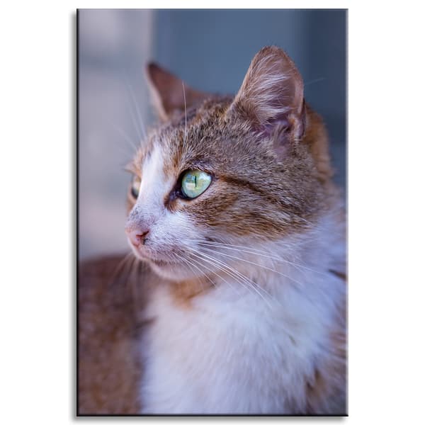 Lærredstryk Dyr Ingefærkat 40x60 cm
