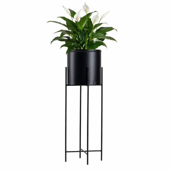 Blomstativ med låg 75 cm sort