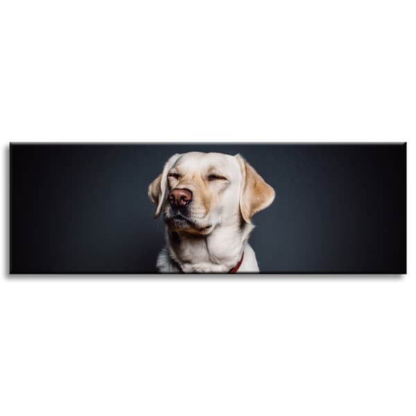 Lærredstryk Dyr Labrador 135X45 cm
