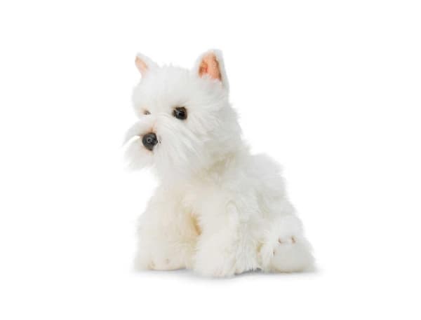 Plys Westie