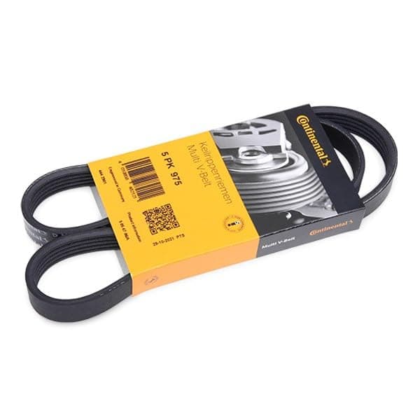 CONTITECH 5 PK 975 multiribbet rem