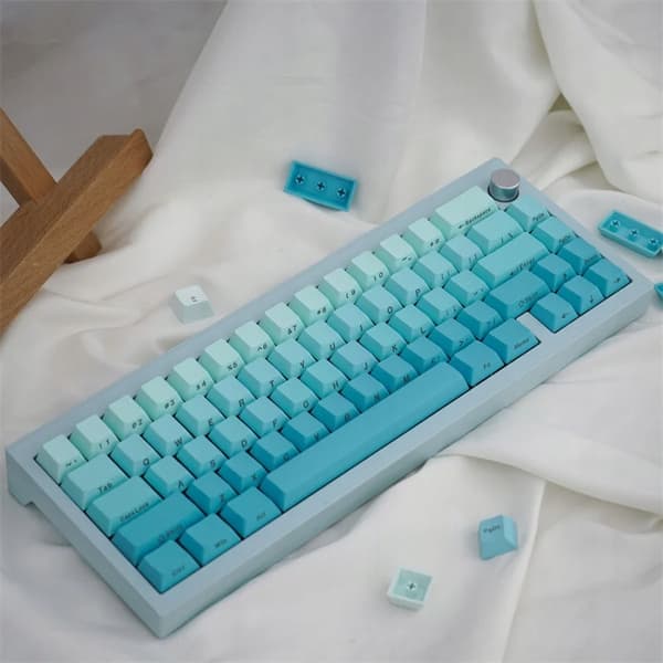 Taster til mekanisk tastatur PBT-profil Cherry 125 stk. Gradient TP