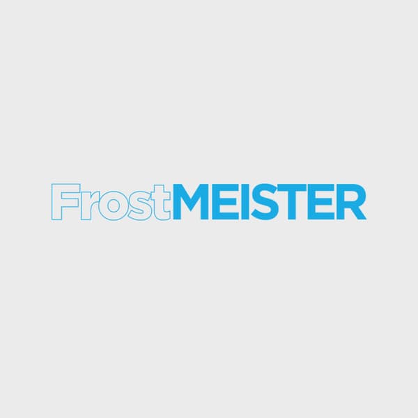 FROSTMEISTER 2in1 400ml - YF Can