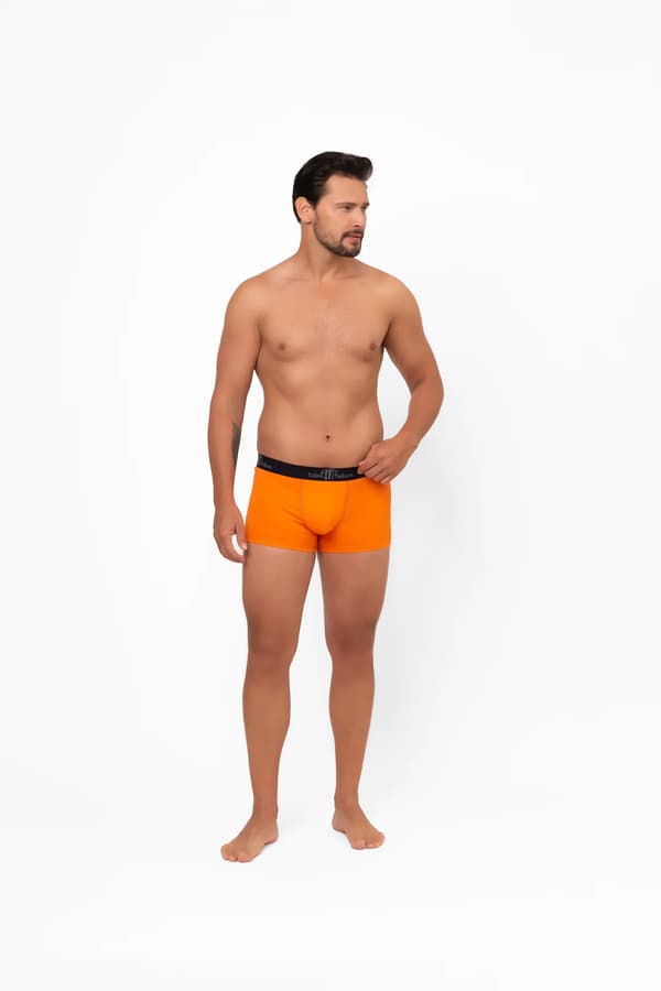 Herre boxershorts Aleksander L