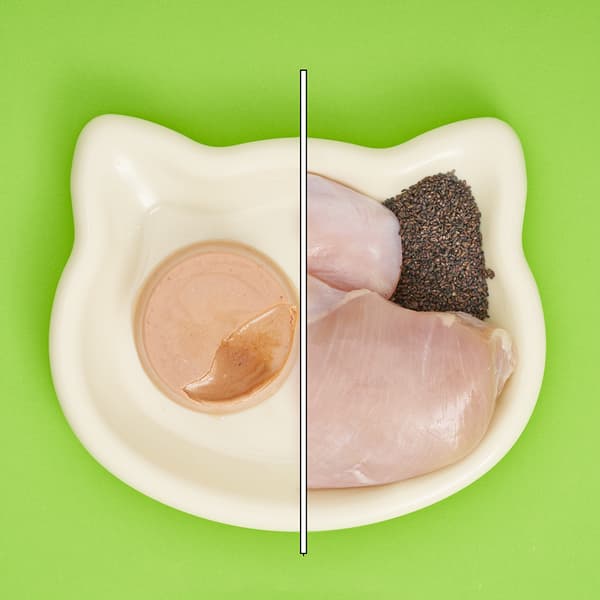 Vådfoder til katte Kanin og Pound Cake Delicious Pâté UniQ Pets 8x30g