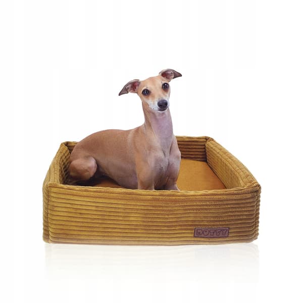 Hundeseng til kat, sofa til hund, DOTTY honninggul corduroy