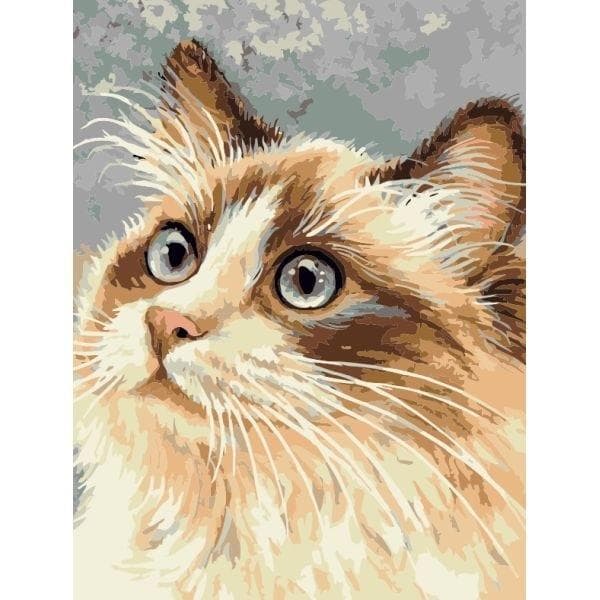 Målning med siffror - 30x40cm Katt