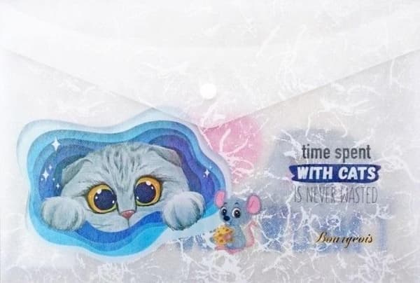 A4+ plastikmappe med klips Kitten FRESH