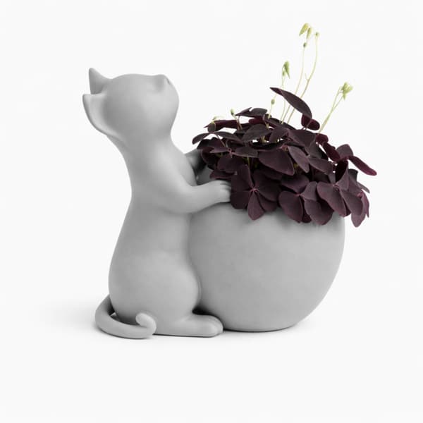 Urtepotte med kat, gråt låg til dekorative planter