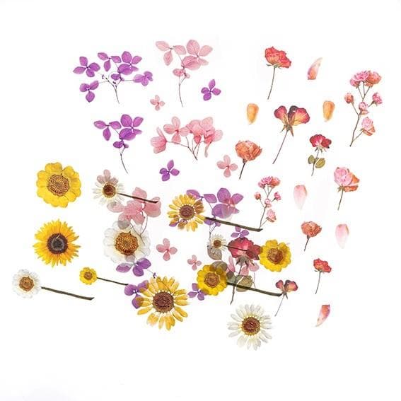 Transparenta PVC-blomklistermärken