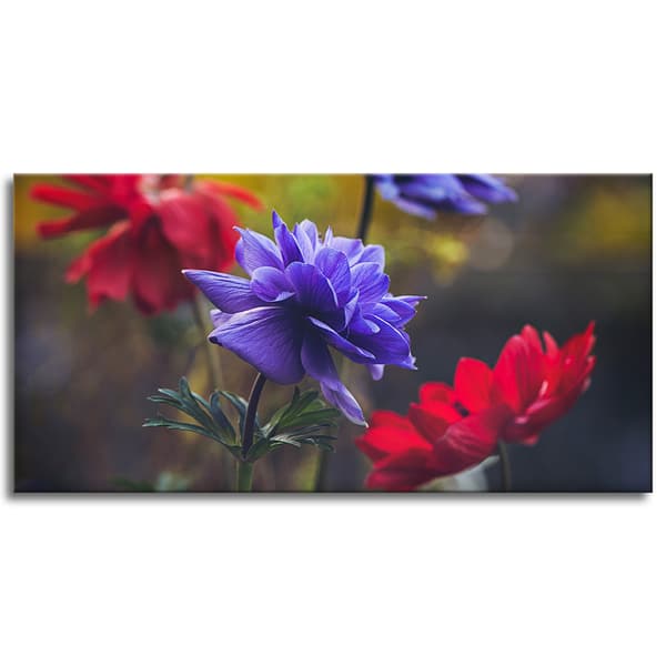 Lærredstryk Botanik Vilde blomster 120x60 cm
