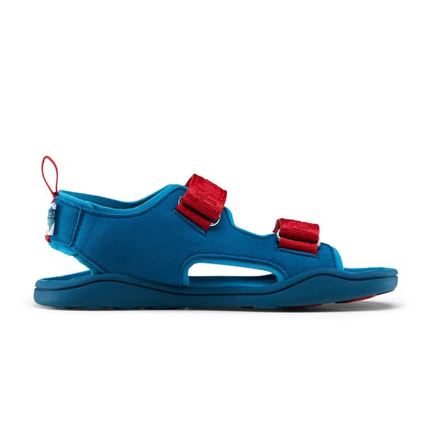 Affenzahn-sandaali Chamude Airy Shark (00392-30009) 21.0