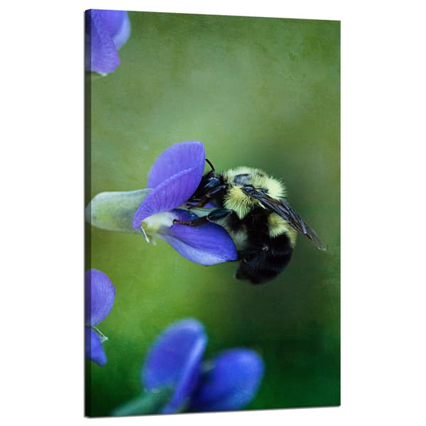 Lærredstryk Botanik Bi blomst 50x80 cm