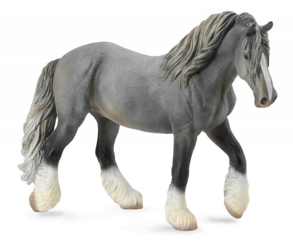 Collecta. Shire-tamma. Harmaa