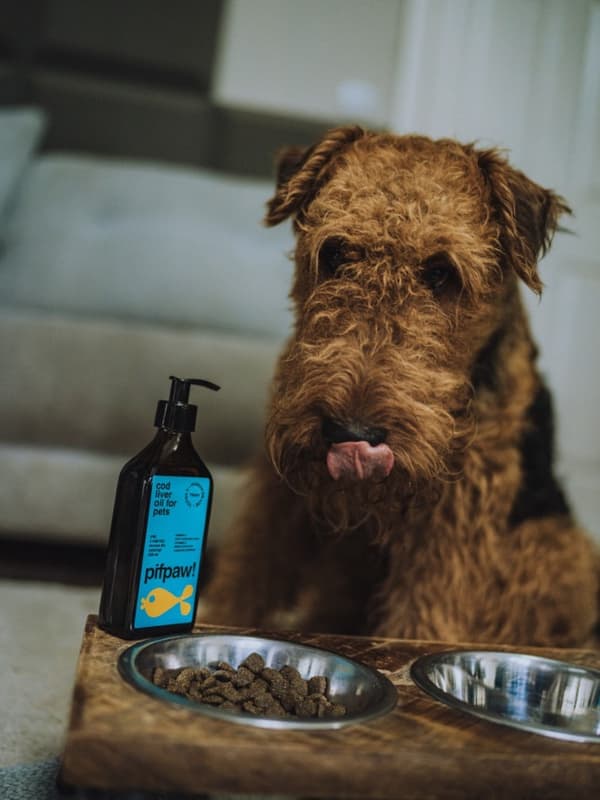 Pifpaw Kalanmaksaöljy eläimille, ihmisille - 500 ml