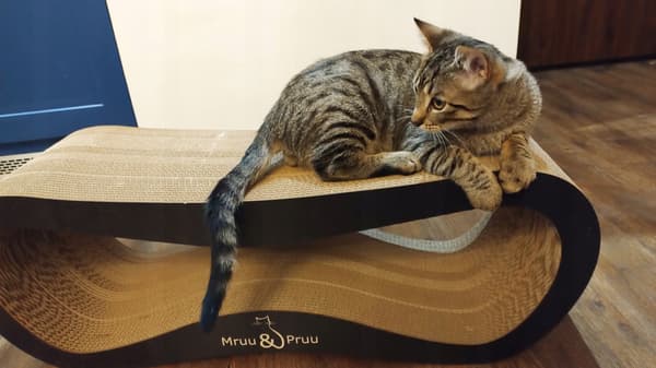LEON kradsetræ til katte | sort | 78x28x24 cm | MruuPruu