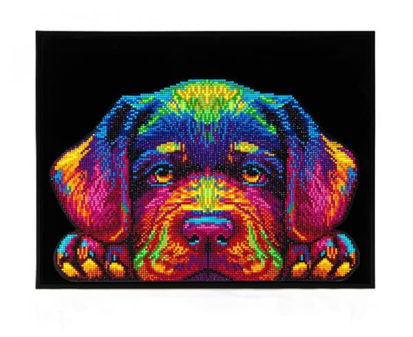 Diamond Dotz - Aikuisille Neon-pentu