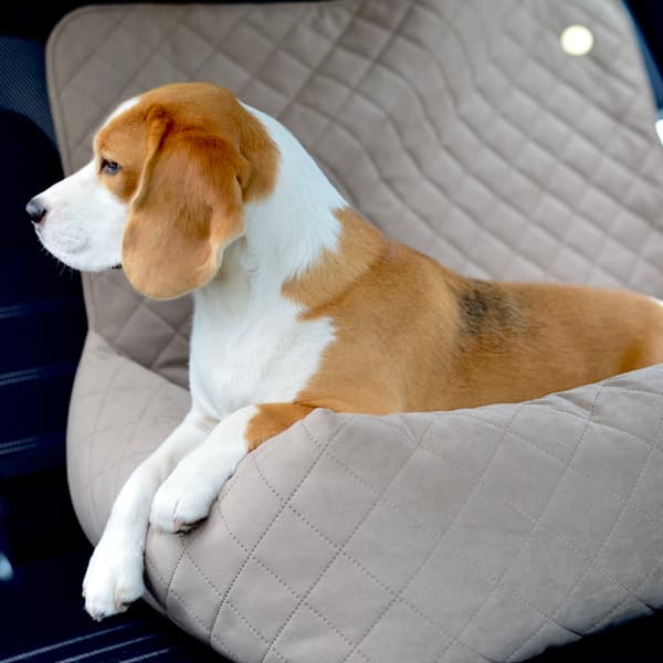 Stor hundeautostol XL Flaskegrøn