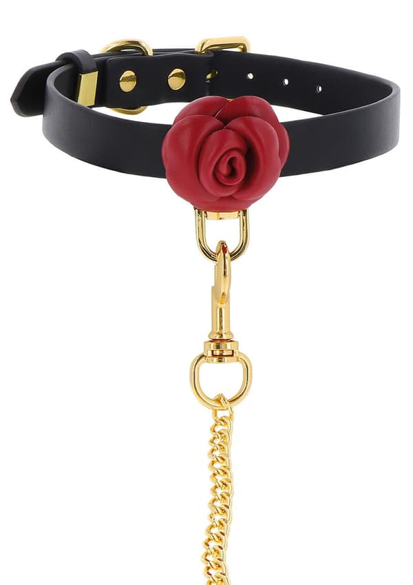Wild Roses Halsband & Koppel Svart