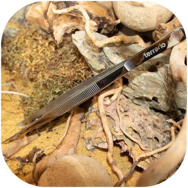 Terrario ViperTweez Simple S - lige pincet 20 cm
