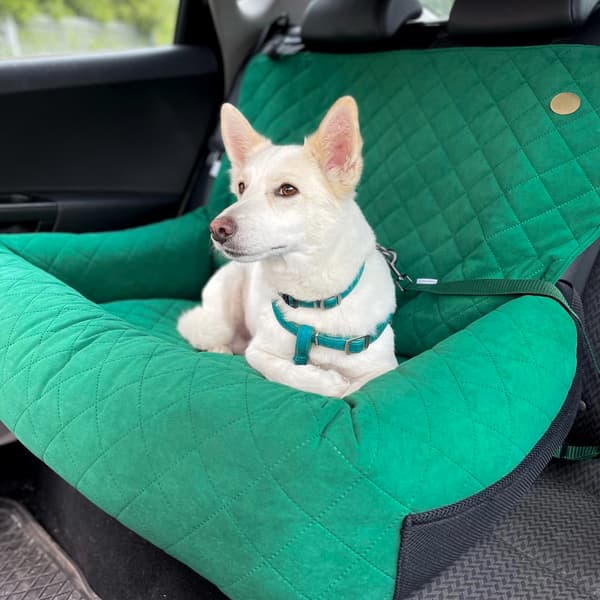 Stor hundeautostol XL Flaskegrøn