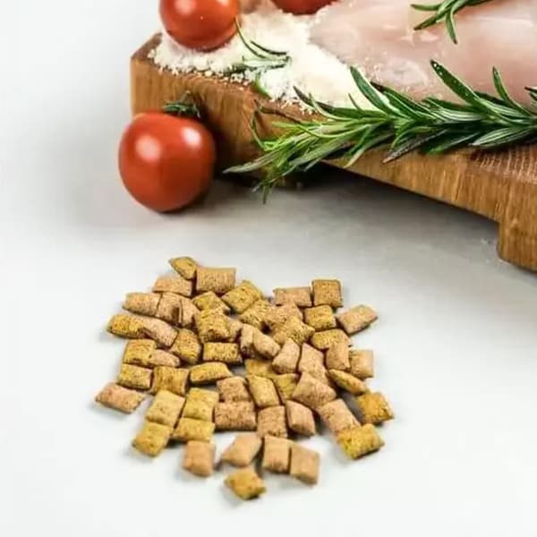 Savory Chicken & Cheese Snack - herkku kissoille