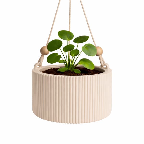 Hängande blomställning, beige, boho, skandinavisk kruka