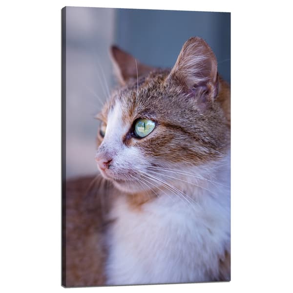 Lærredstryk Dyr Ingefærkat 60x100 cm