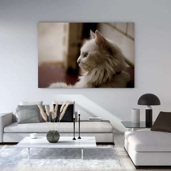 Lærredstryk Dyr Hvid kat 90x60 cm