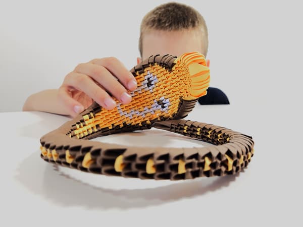3D-origami. Kobra