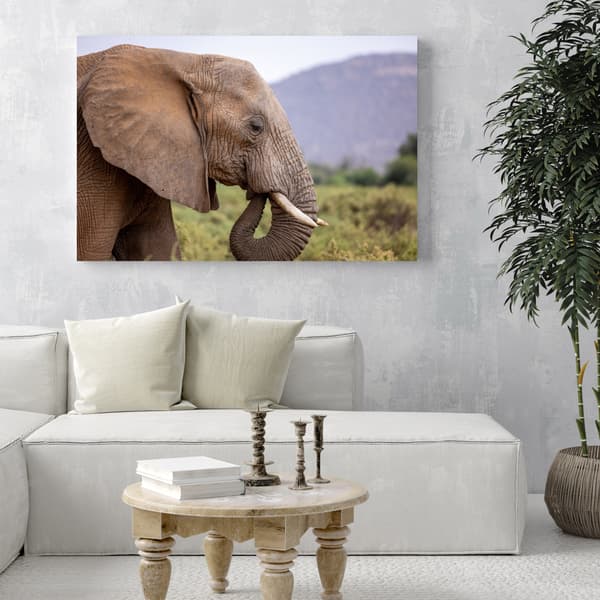 Lærredstryk Dyr Elefant nærbillede 40x30 cm
