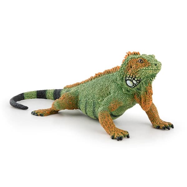 Iguaani